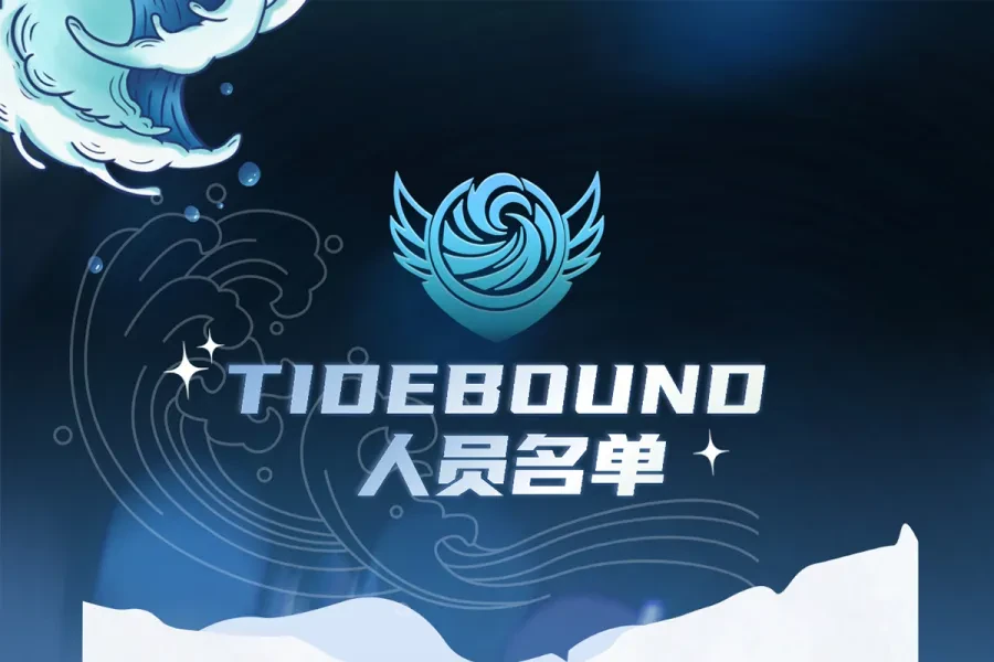 Team Tidebound представила обновлённый состав по Dota 2