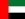 Логотип Team United Arab Emirates