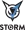 Логотип VGJ.Storm