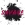 Изображение SAVAGE!! vol.3