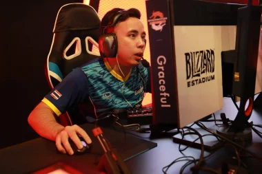 Фото Graceful - Мартин Вонгпром