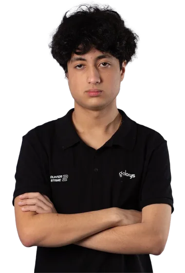 Фото koala - Жоао Педро Алвеш