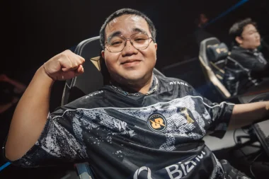 Фото monyet - Чахья Нуграха