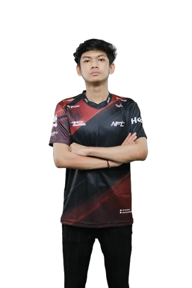 Фото Dron - Ильхам Зулиянсах