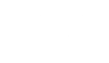 b100