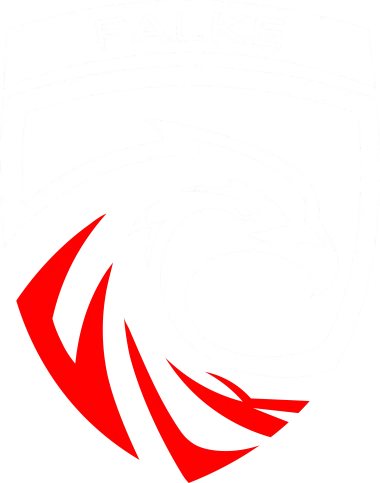 FALKE ESPORTS