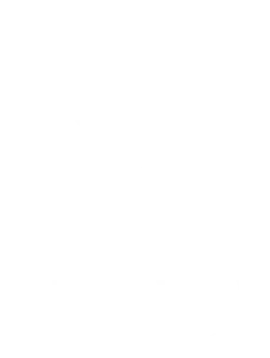 LEDIAN