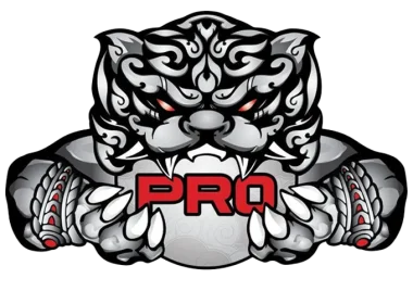 PRO Esports