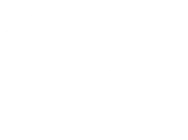 Team BLINK
