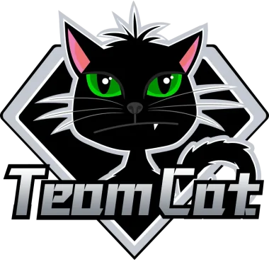 Team Cat