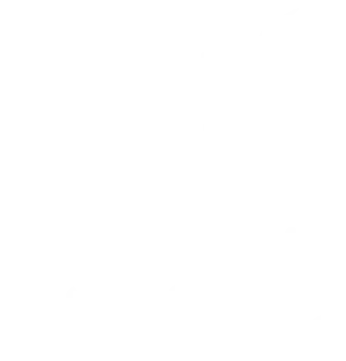 Team Unique