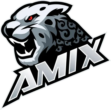 AMIX Team