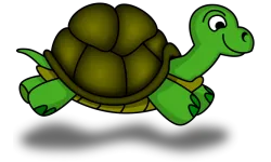 Turtle Masters