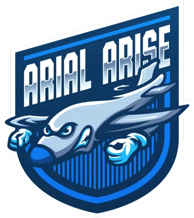 Arial Arise