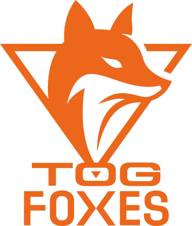 TeamOrangeGaming Academy