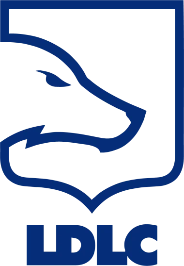 Team LDLC