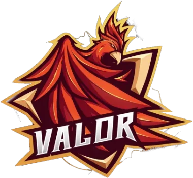 Team Valor