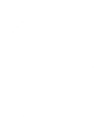 Big GOOSE