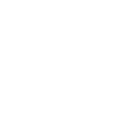 Furious Gaming
