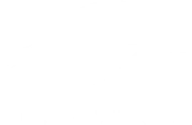 Secret Whales