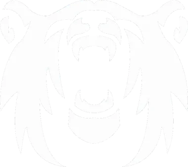 Polar Squad Esports