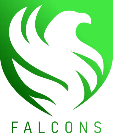 Falcons Esport EU
