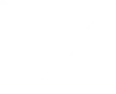 Team Vision
