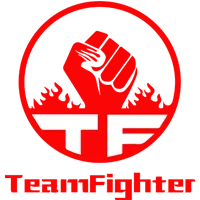 Team Fighter