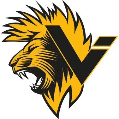 Vination eSports