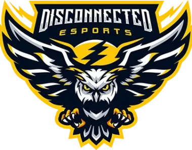 Disconnected Esports