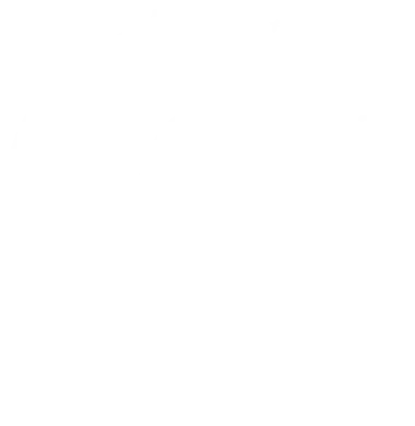 Corvidae