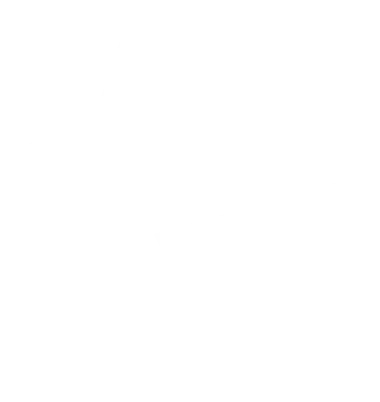 The Suspect