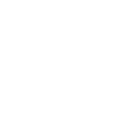 Furious Gaming