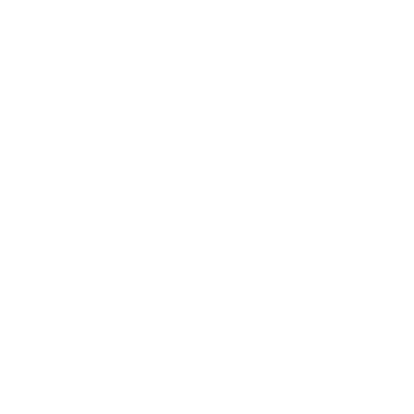 ALLINNERS