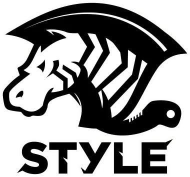 Team STYLE