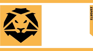 HSL Esports