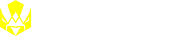 Team Vitality