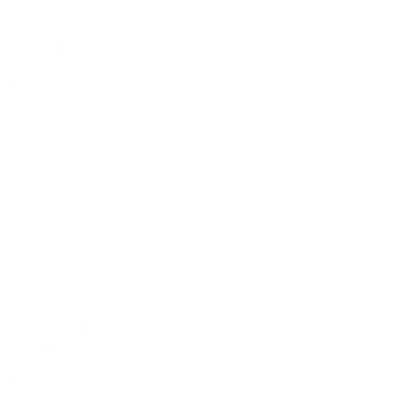 Sunset Ravens