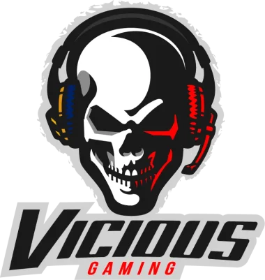 Vicious Gaming