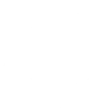 Cyber Wolves Esports