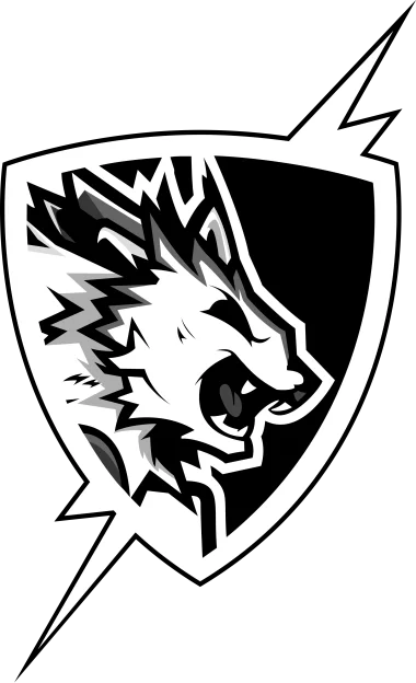 Flash Point Esports