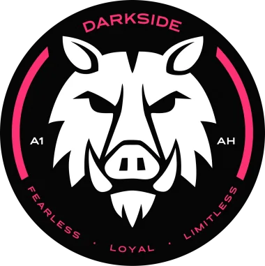DarkSidE