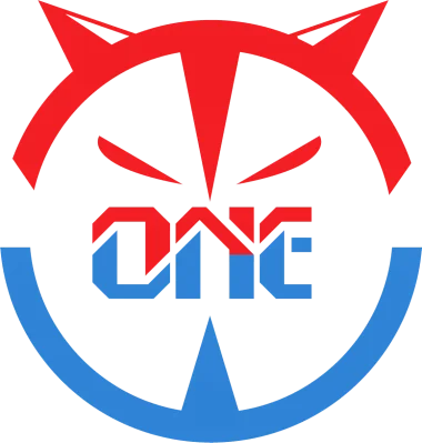 The One Winner