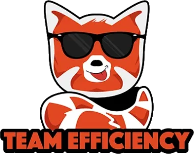 Team Efficiency