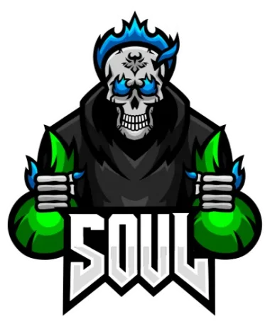 Team SouL