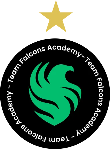 Team Falcons Academy