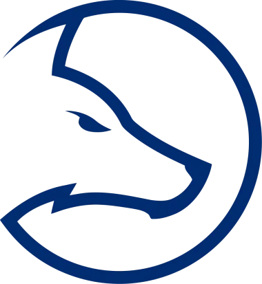 Team LDLC.com Blue