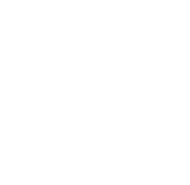eStar Pro