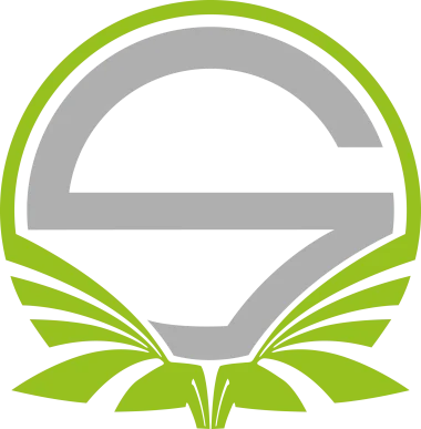 Team Singularity