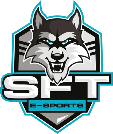 SFTe-sports